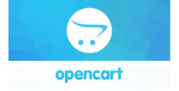 custom work OpenCart